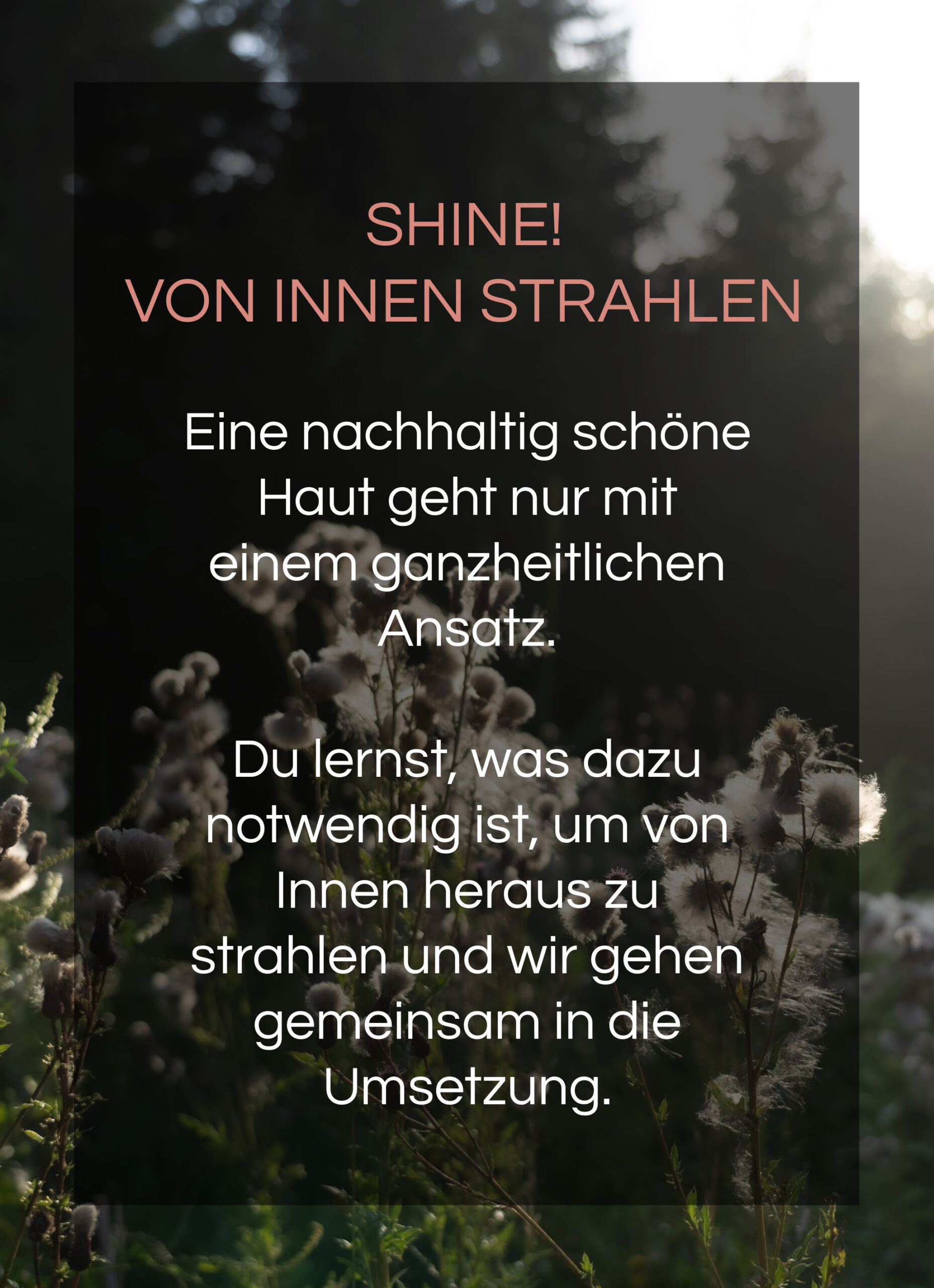 Strahlen3 copy (1)