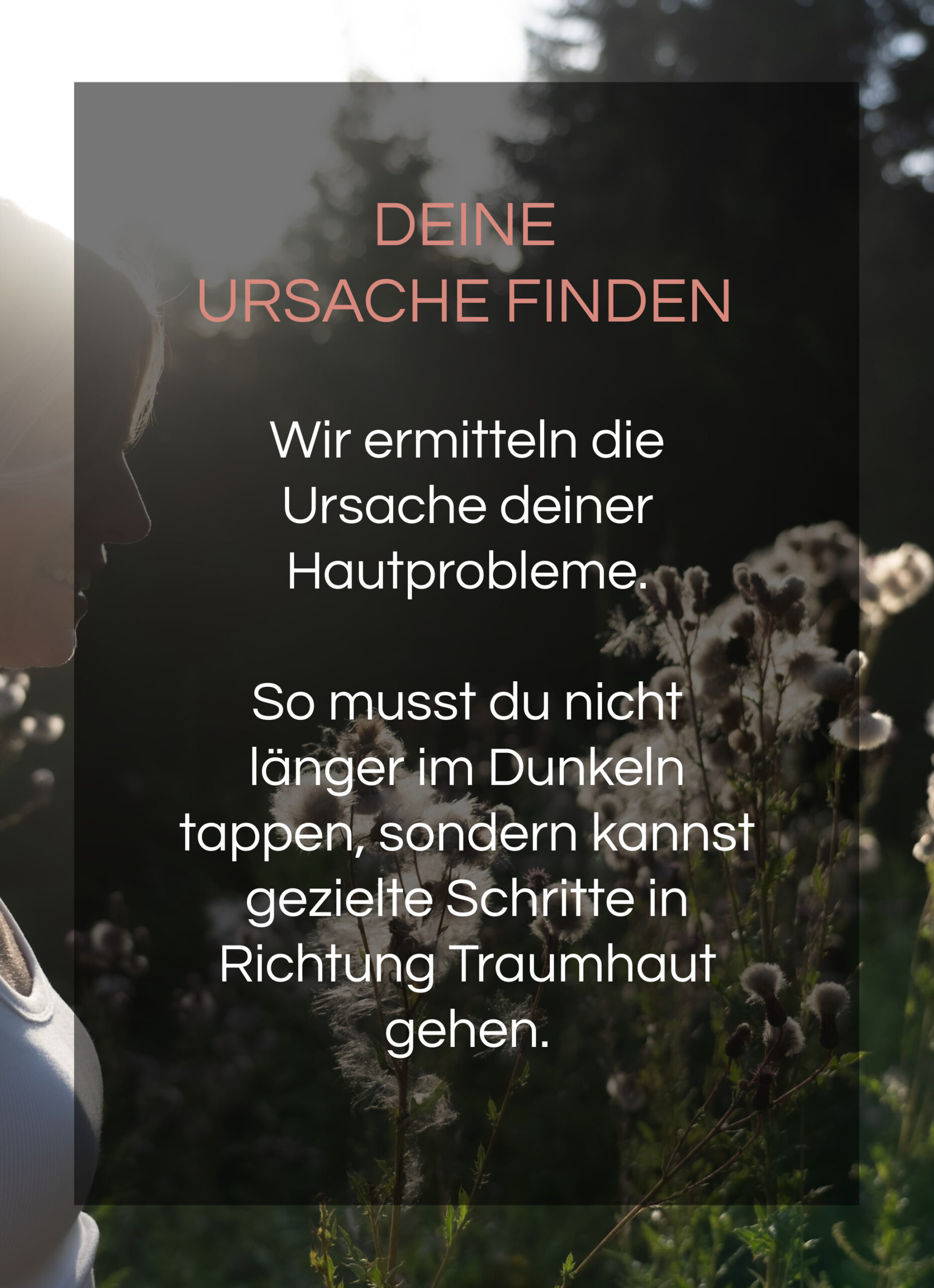 Ursache1 copy (1)